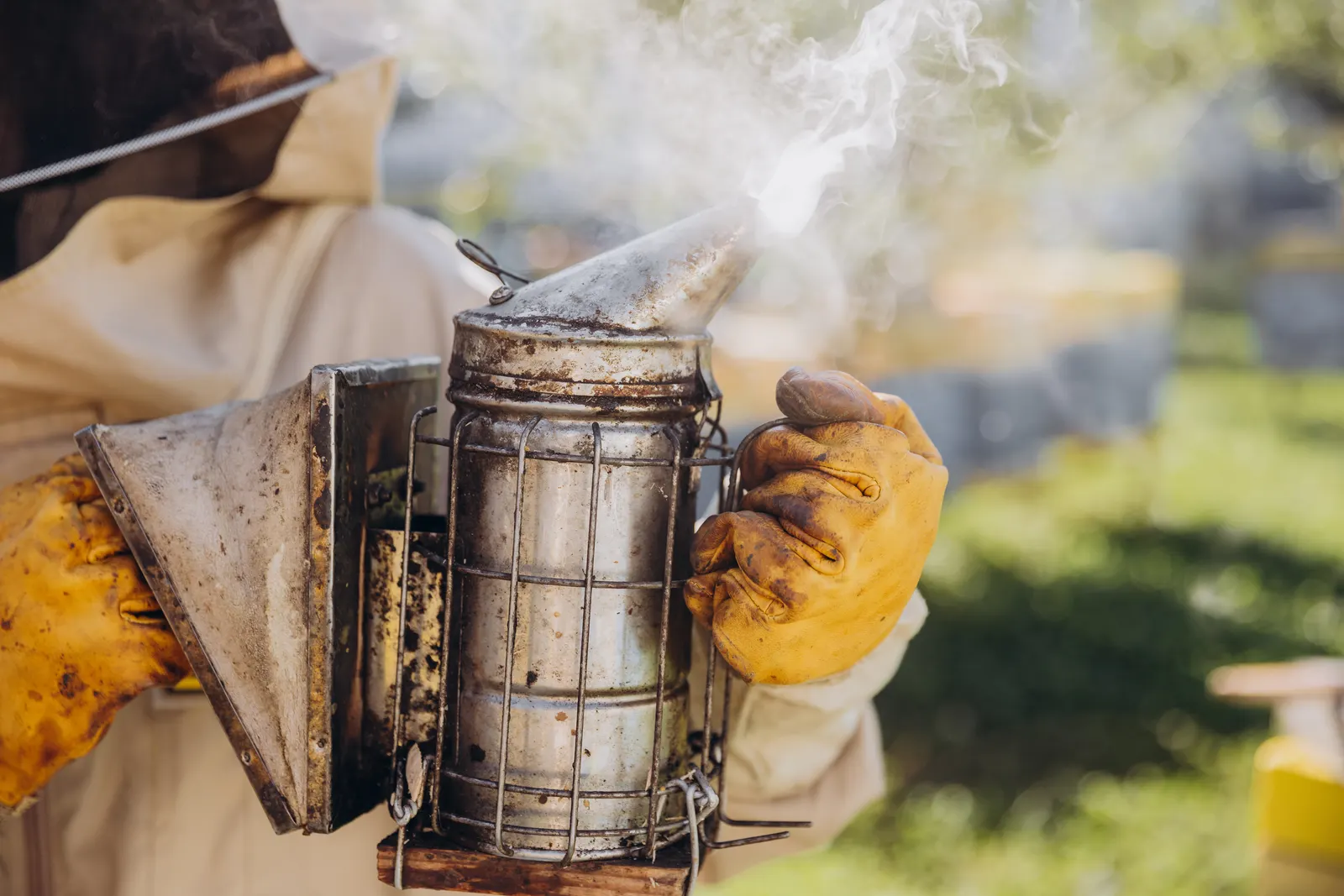 Essential Equipment for Your First Apiary